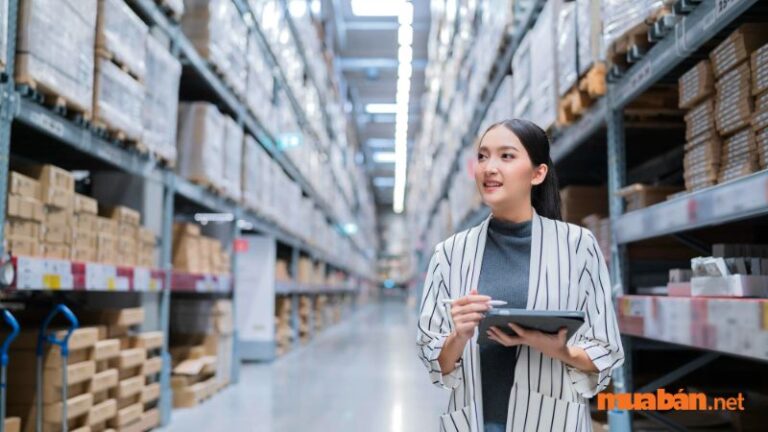 Mẫu CV xin việc kho ấn tượng dễ thu hút nhà tuyển dụng