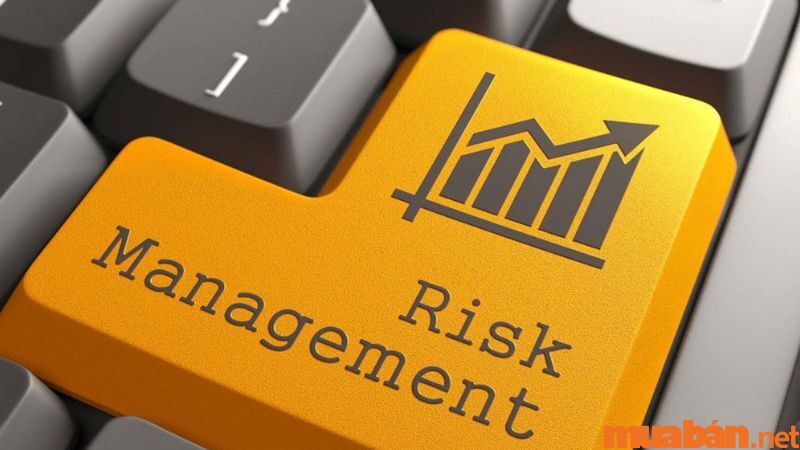 Học Tài chính Ngân hàng ra làm gì? Nhân viên quản trị rủi ro