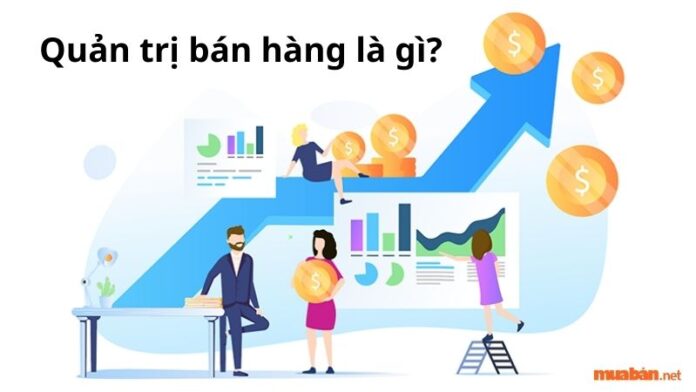 Quản trị bán hàng là gì? Quy trình, mục tiêu và nhân tố ảnh hưởng