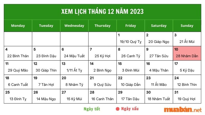 Luận giải chi tiết ngày 10/12/2023