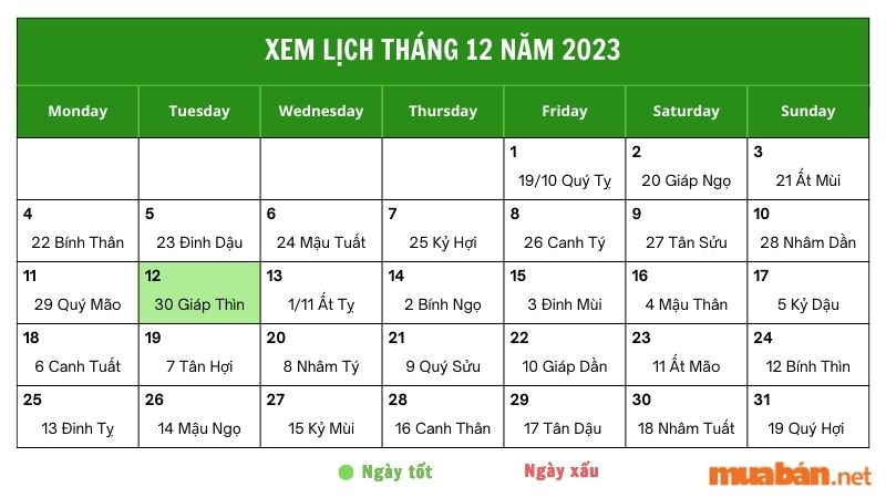 Luận giải chi tiết ngày 12/12/2023