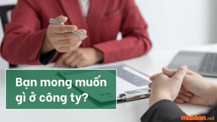 Bạn mong muốn gì ở công ty? Gợi ý 8 câu trả lời “ghi điểm”