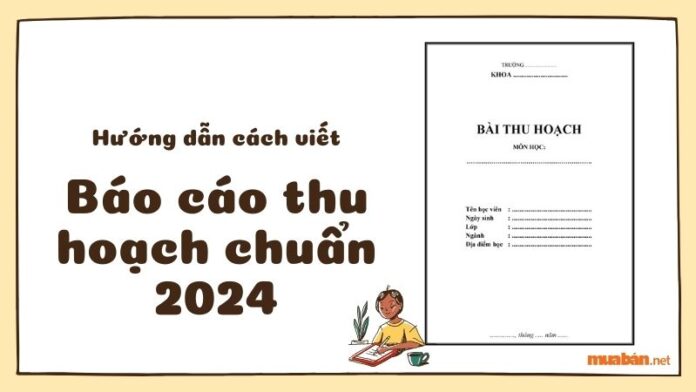 Hướng dẫn cách viết báo cáo thu hoạch chuẩn 2024