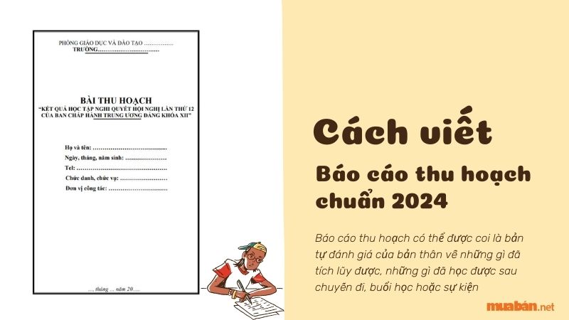 Cách viết báo cáo thu hoạch chuyên nghiệp và hấp dẫn