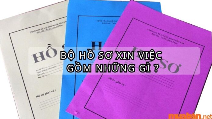 Bộ hồ sơ xin việc gồm những gì ? Cập nhật mới nhất 2024