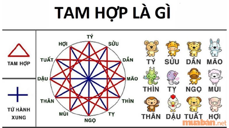 Các yếu tố quan trọng khi mượn tuổi làm nhà - tuổi tam hợp, nhị hợp