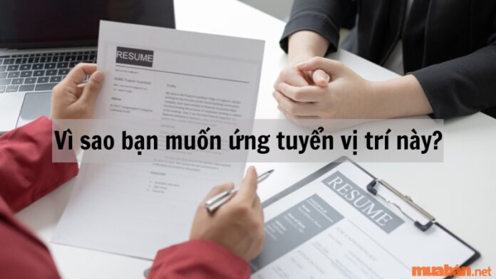 Cách trả lời phỏng vấn: Vì sao bạn muốn ứng tuyển vị trí này?