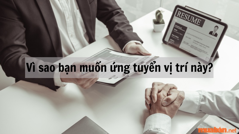 Cách trả lời phỏng vấn: Vì sao bạn muốn ứng tuyển vị trí này?