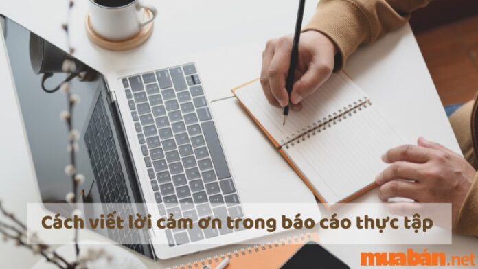 Cách viết lời cảm ơn trong báo cáo tốt nghiệp