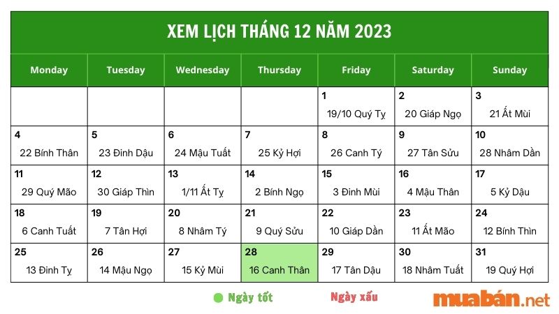 Xem luận giải chi tiết ngày 28/12/2023