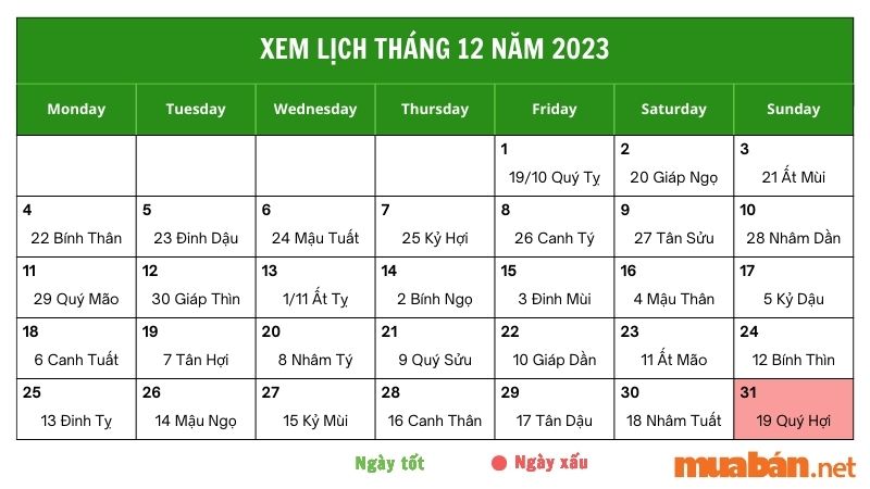 Xem luận giải chi tiết ngày 31/12/2023