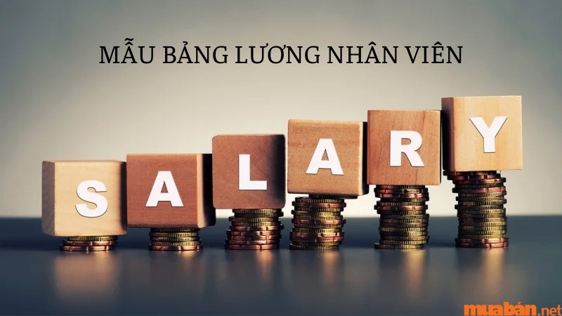 Nội dung cơ bản của mẫu bảng lương nhân viên.