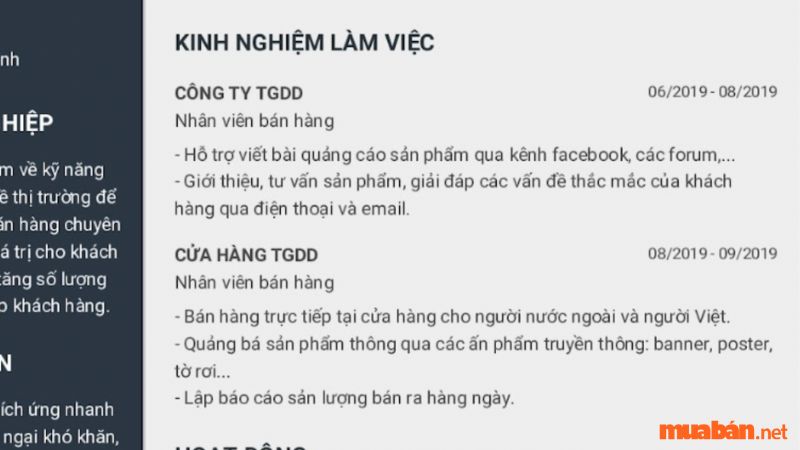 Kinh nghiệm làm việc