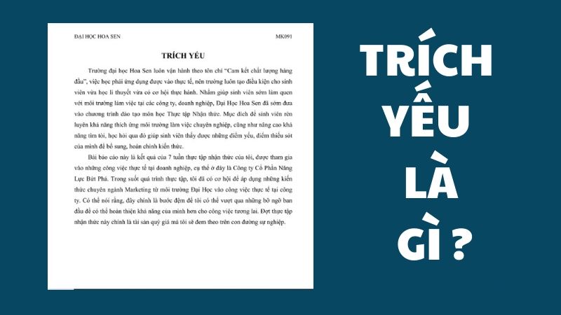 Trích yếu (abstract) là bản tóm lược ngắn gọn về hoạt động nghiên cứu được đề cập đến trong bài báo cáo