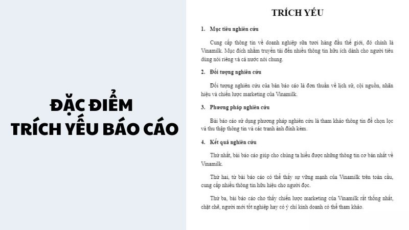 Đặc điểm của trích yếu báo cáo (Ảnh: Sưu tầm)