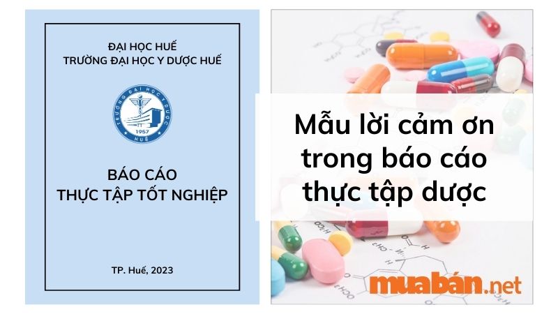 Lời cảm ơn trong báo cáo thực tập dược