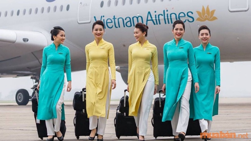 Mức lương của tiếp viên hàng không hãng bay Vietnam Airlines