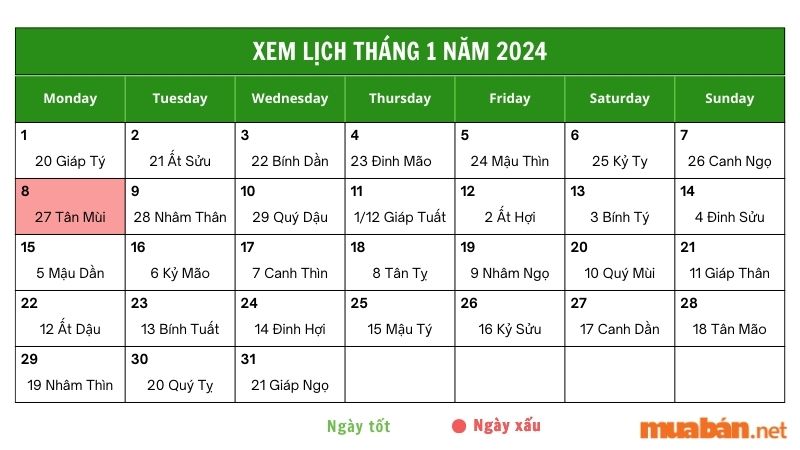 Xem luận giải chi tiết ngày 8/1/2024