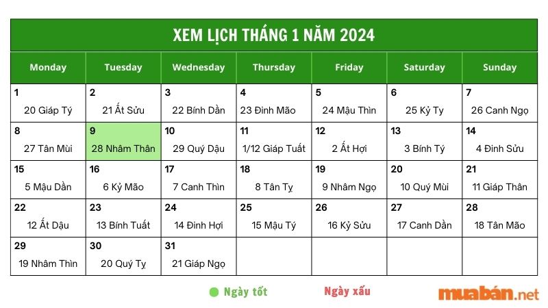 Xem luận giải chi tiết ngày 9/1/2024