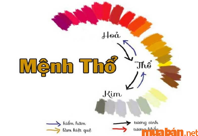 Màu hợp: Màu đỏ, tím, cam (thuộc mệnh Hoả)