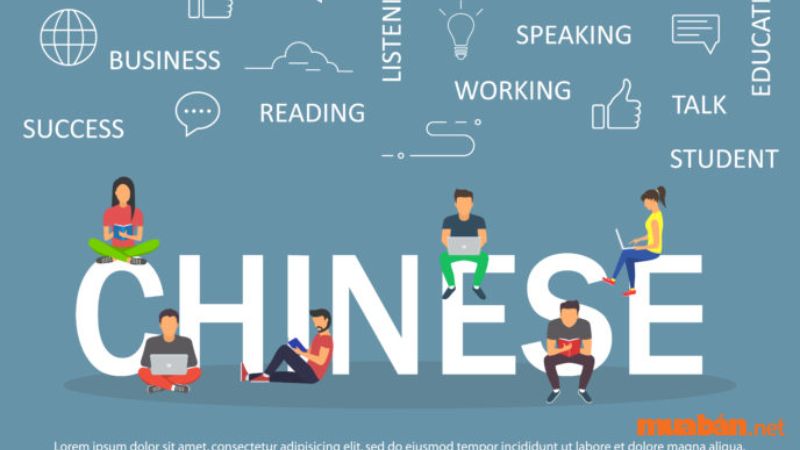 Học Ngôn ngữ Trung ra làm gì? Cơ hội nghề nghiệp 2024