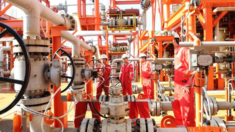 Nhân viên dầu khí là một trong các nghề có mức lương cao, cơ hội phát triển nhanh