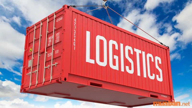 học Logistics ra làm gì