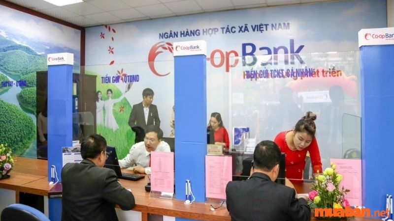 Điều kiện để vay vốn ngân hàng Coopbank