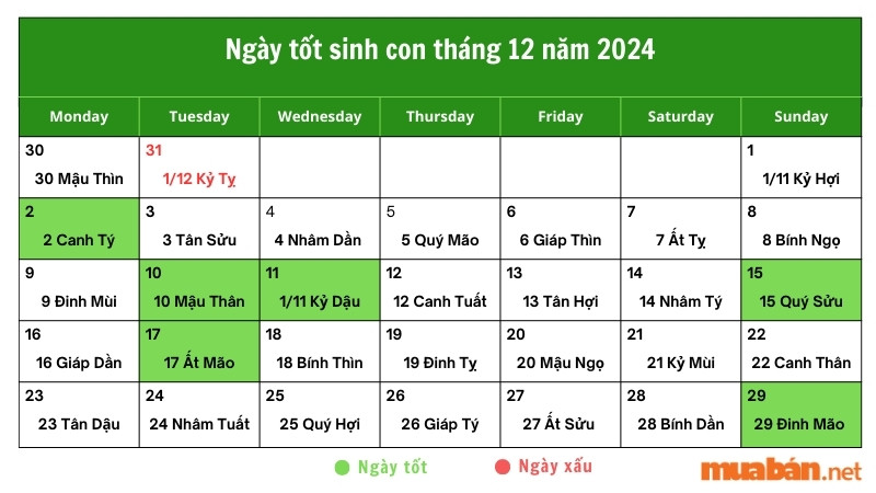 Sinh con tháng 12 năm 2024 ngày giờ nào tốt, hợp tuổi bố mẹ