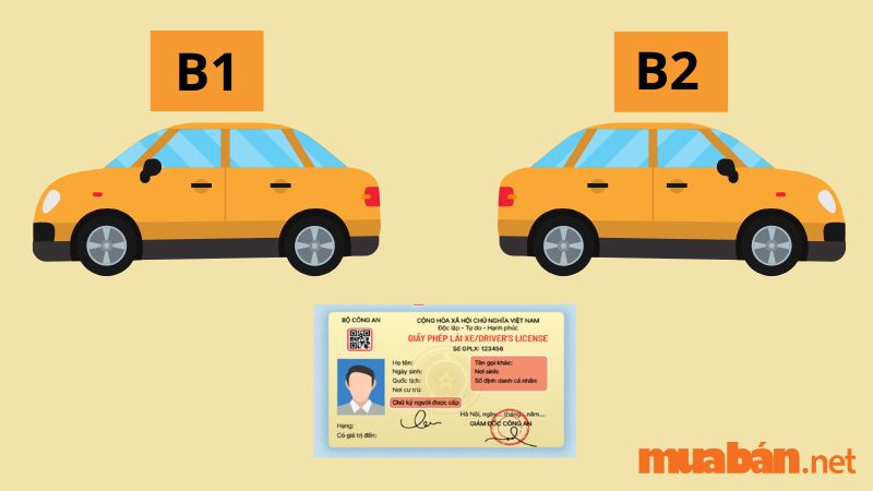Điểm giống nhau của bằng lái xe b1 và b2