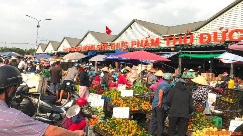 Các khu chợ/siêu thị gần khu vực ngã tư Bình Phước