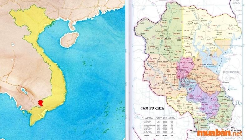 Tỉnh Tây Ninh bao gồm tổng cộng 9 đơn vị hành chính ở cấp huyện