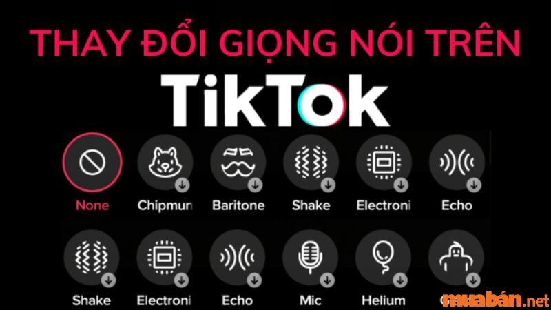Tiktok không chỉ là một ứng dụng giải trí mà nó còn cung cấp khả năng đổi giọng nói một cách dễ dàng