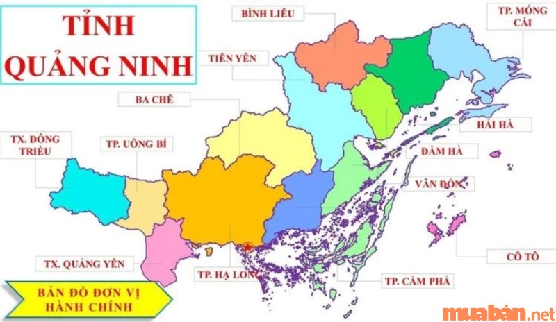 Đơn vị hành chính hiện tại của tỉnh Quảng Ninh