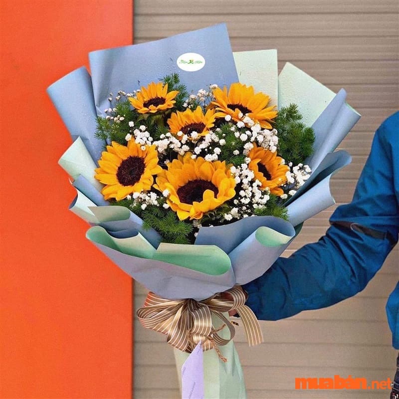 Do ý nghĩa của hoa hướng dương rất tốt lành nên thường được chọn làm quà tặng trong những dịp quan trọng