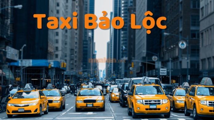 Taxi Bảo Lộc