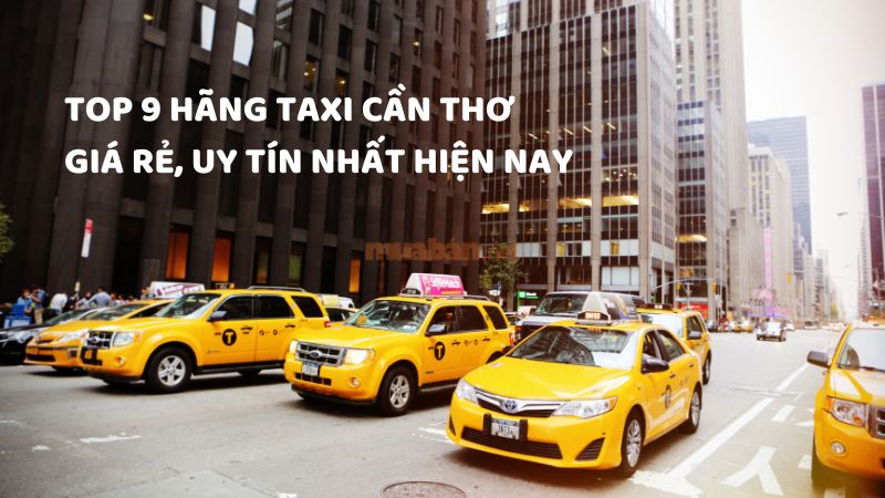 Top 9 hãng taxi Cần Thơ giá rẻ, uy tín nhất hiện nay