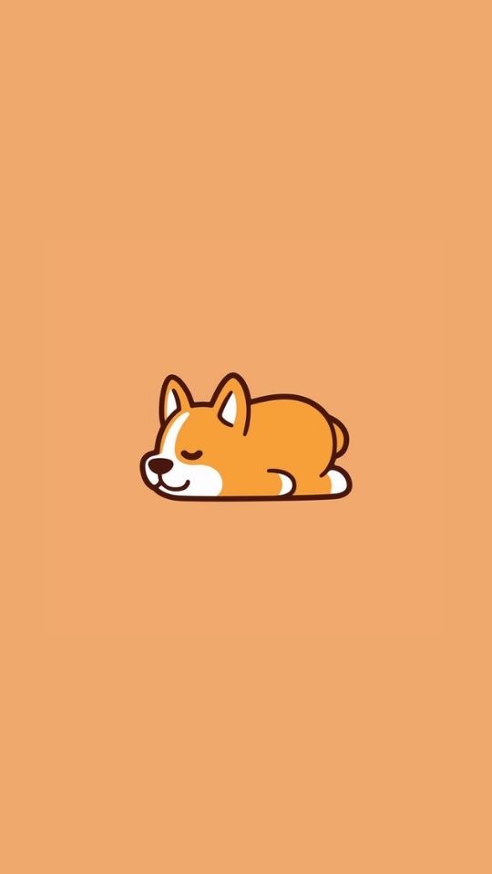 Hình nền chó Corgi 