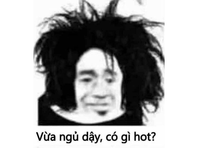 Meme gấu trúc vừa ngủ dậy 