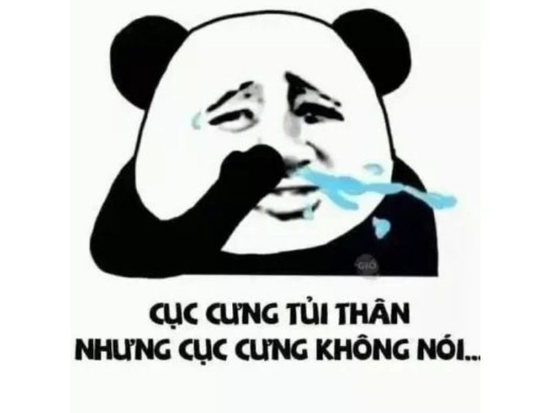 Meme gấu trúc tủi thân