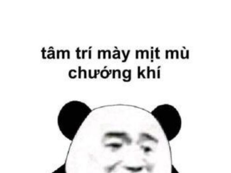 Meme gấu trúc tâm trí rối bời