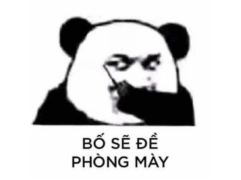 Meme gấu trúc đề phòng