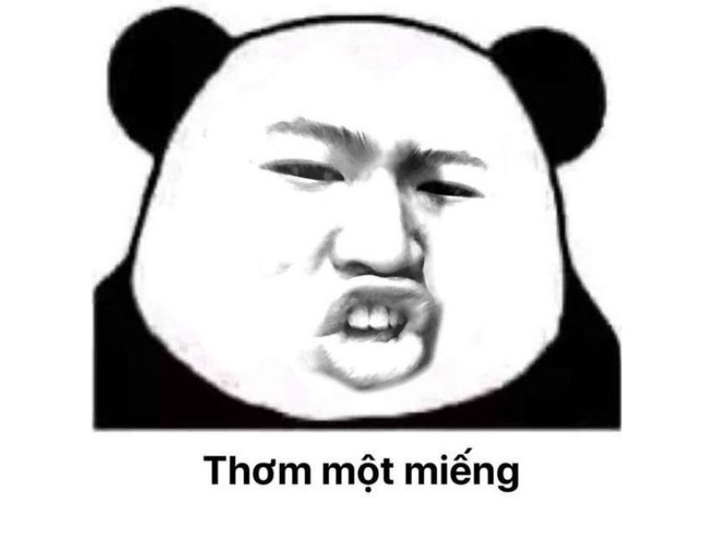 Meme gấu trúc hài hước 