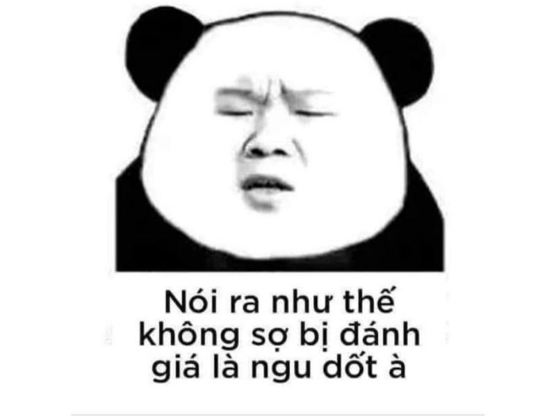 Meme gấu trúc sợ bị đánh giá