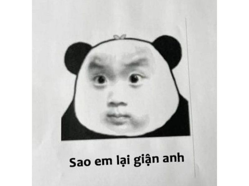 Meme gấu trúc thắc mắc ngây ngô