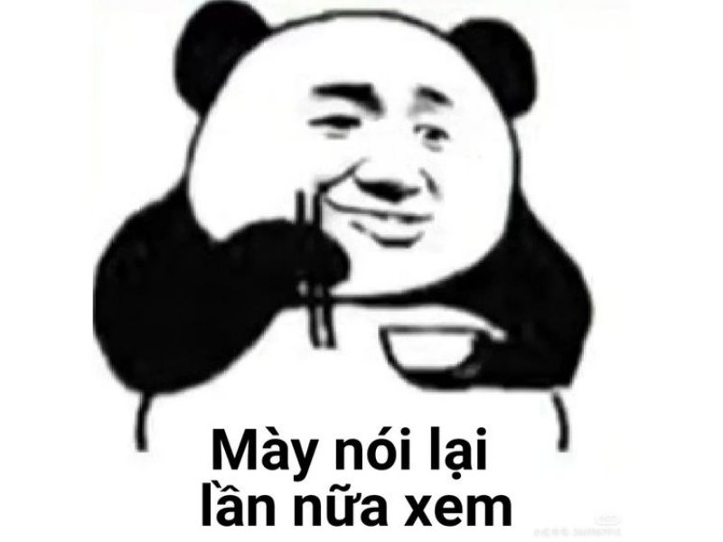 Meme gấu trúc thách thức ngộ nghĩnh