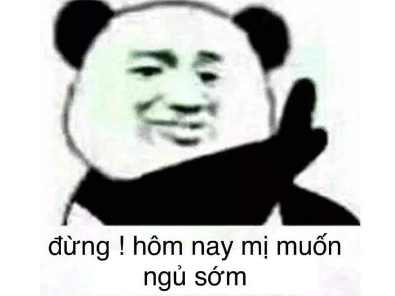 Meme gấu trúc muốn ngủ sớm