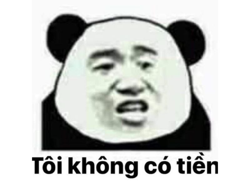 Meme gấu trúc than hết tiền