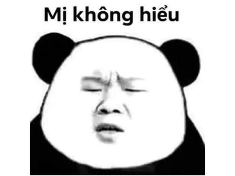 Meme gấu trúc không hiểu