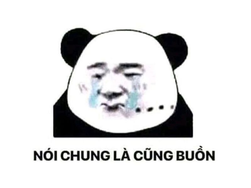 Meme gấu trúc buồn